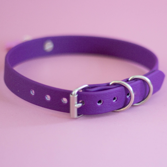 Vegan Purple Biothane Collar